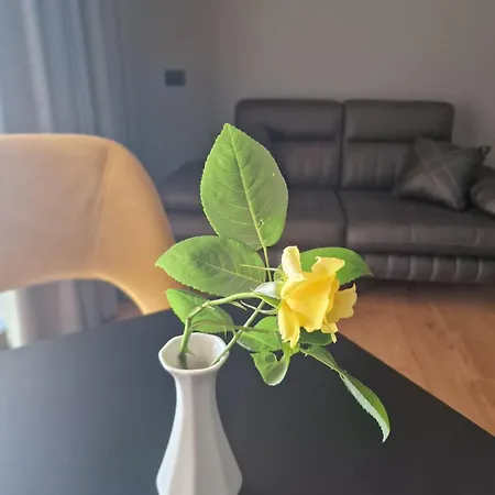 Kristiano 21
