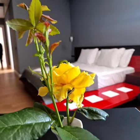 Kristiano 21 منزل ريفي